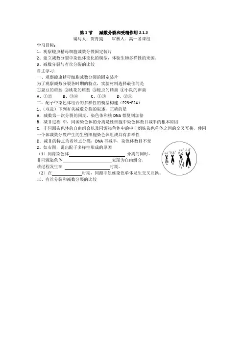 第1节   减数分裂和受精作用2.1.3