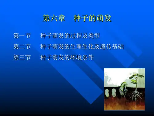 第六章    种子的萌发
