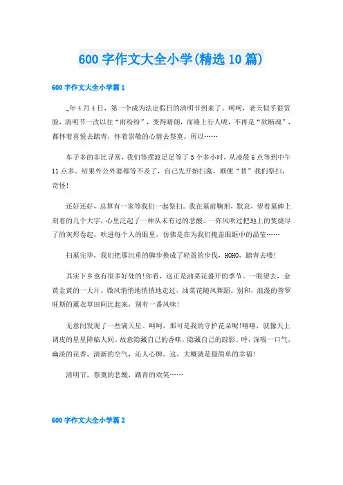 600字作文大全小学(精选10篇)