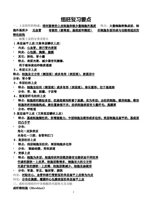 组胚考试复习要点(大纲要求)解析