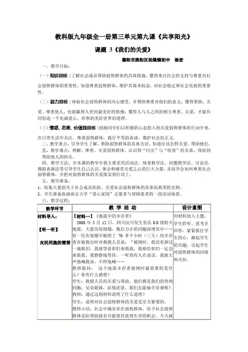 教科版九年级全一册第九课共享阳光