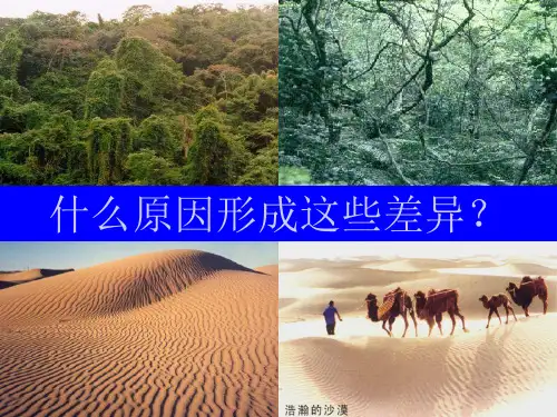 气温和降水(降水)课件