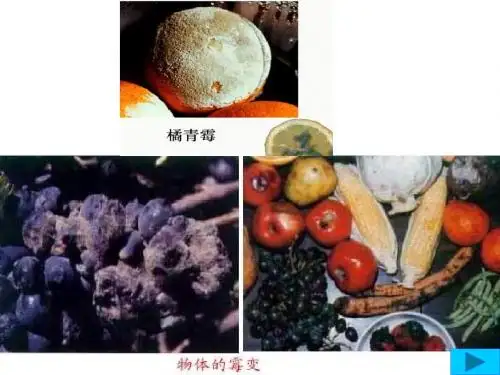八年级生物细菌和真菌的分布