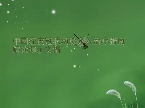 中国经皮冠状动脉介入治疗指南解读2