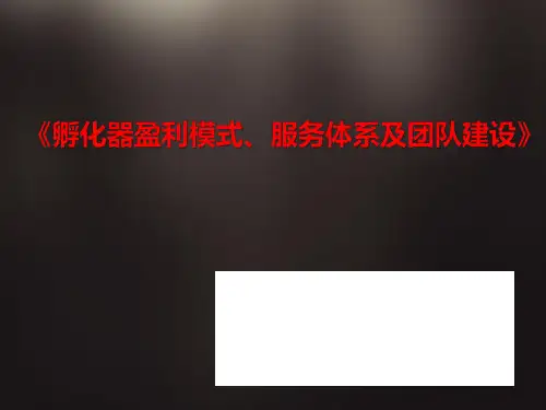 孵化器盈利模式、服务体系及团队建设