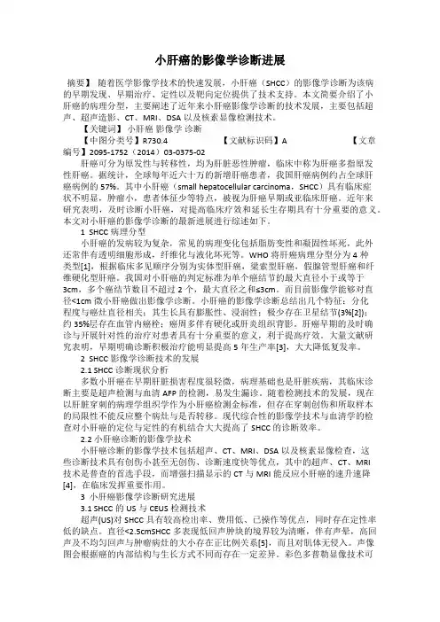 小肝癌的影像学诊断进展