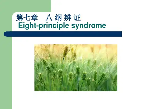 八纲辨证新