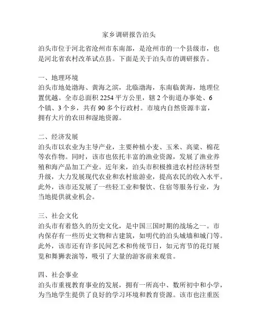 家乡调研报告泊头