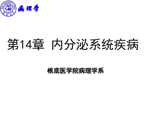 七科联考病理学第14章内分泌系统疾病ppt课件