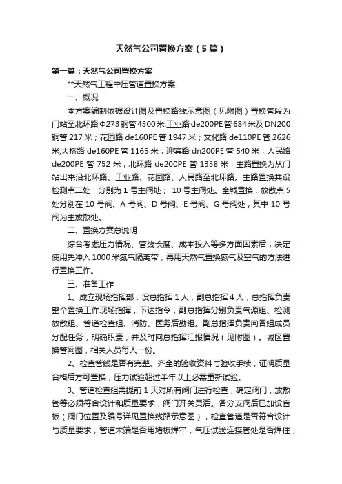 天然气公司置换方案（5篇）