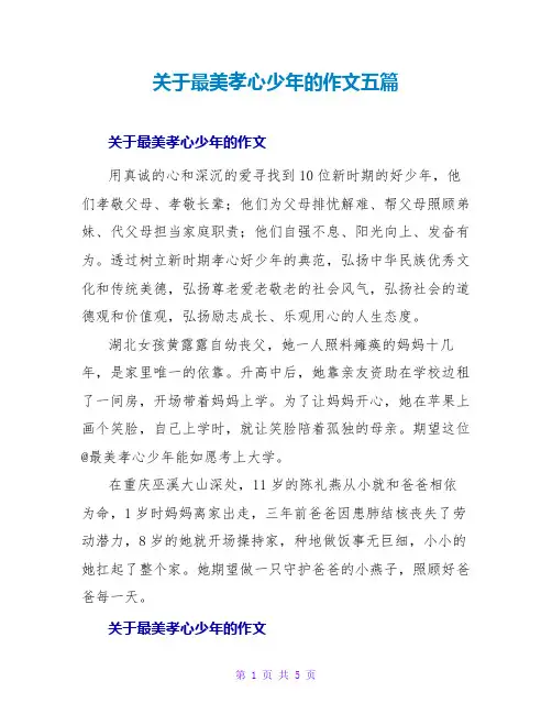 关于最美孝心少年的作文五篇