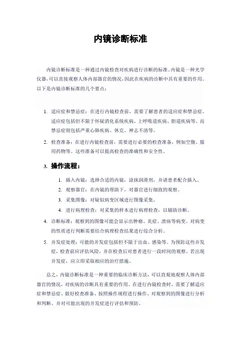 内镜诊断标准