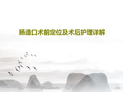 肠造口术前定位及术后护理详解共58页文档