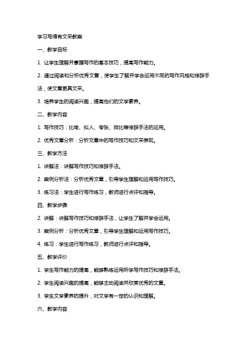 学习写得有文采教案