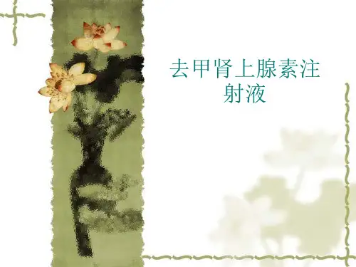 去甲肾上腺素ppt课件