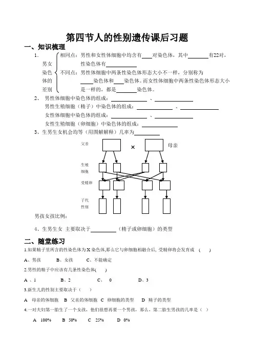 人的性别遗传练习题