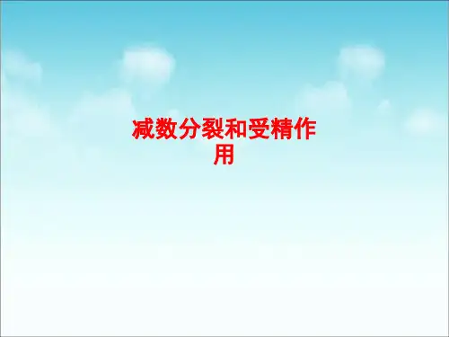 减数分裂和受精作用精品教案