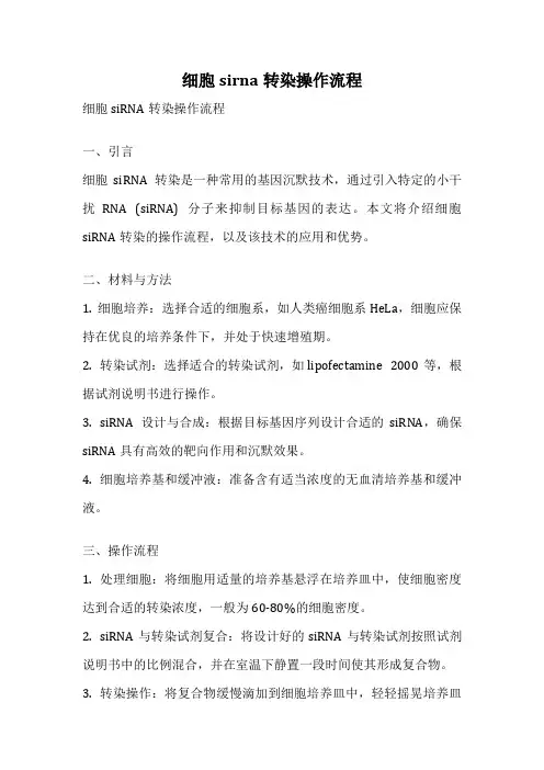 细胞sirna转染操作流程