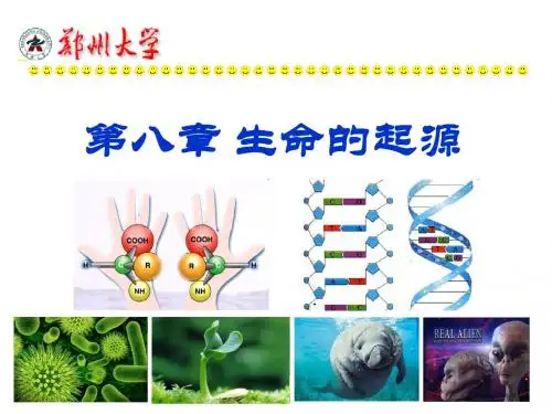 11 第八章 生命的起源