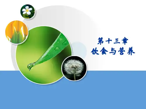 护理学基础-第13章-营养与饮食