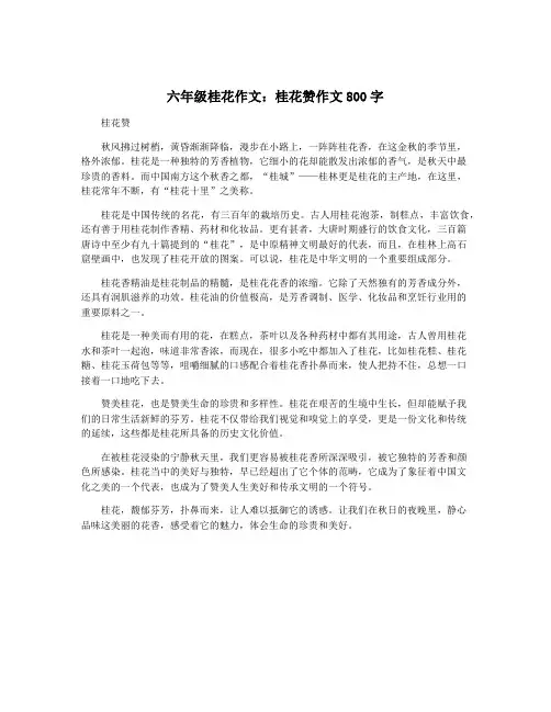 六年级桂花作文：桂花赞作文800字