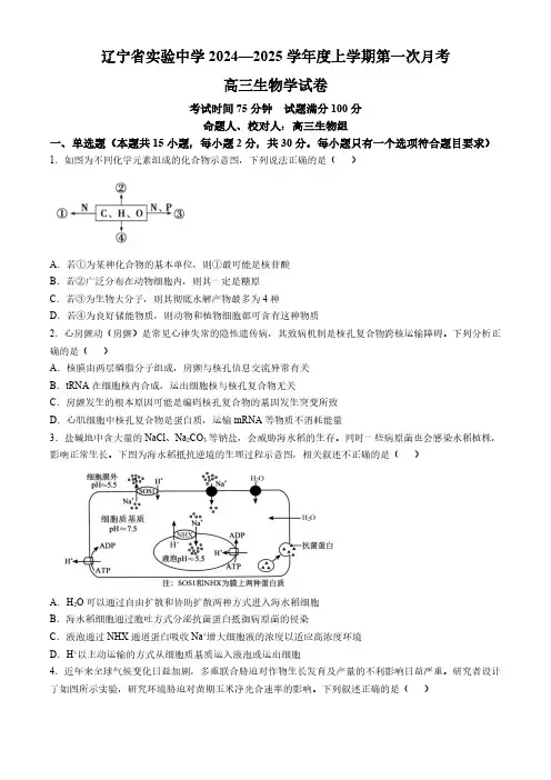 2024-2025学年辽宁省实验中学高三上学期10月月考生物试题及答案