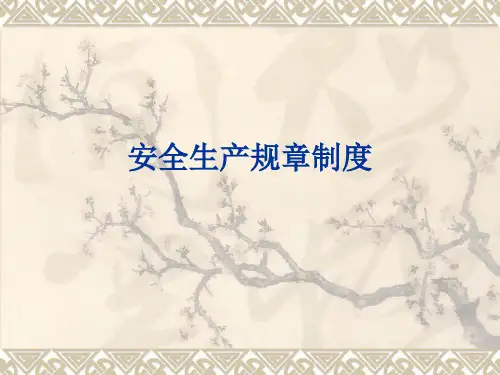 安全生产规章制度ppt课件