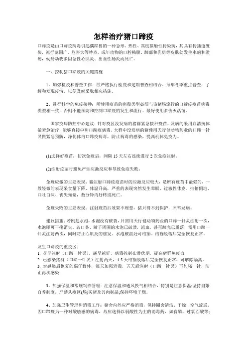 怎样治疗猪口蹄疫