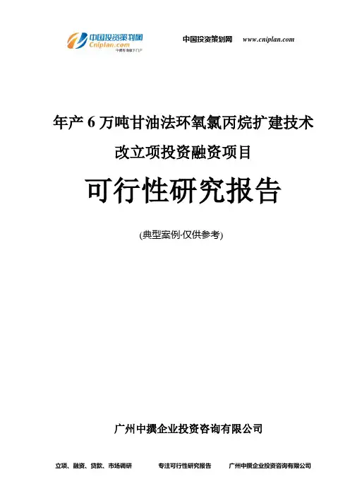 年产6万吨甘油法环氧氯丙烷扩建技术改融资投资立项项目可行性研究报告(非常详细)