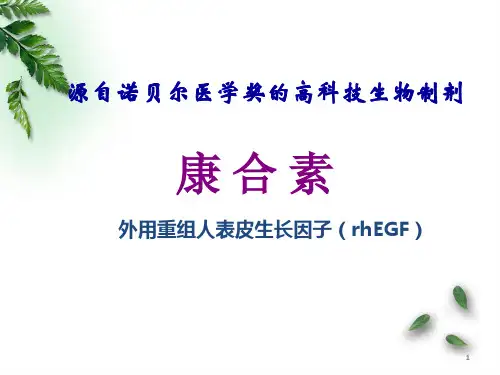 (医学课件)重组人表皮生长因子冻干粉