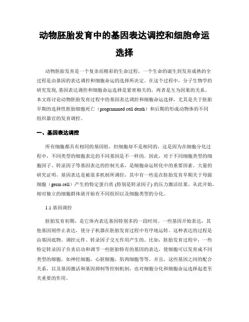 动物胚胎发育中的基因表达调控和细胞命运选择