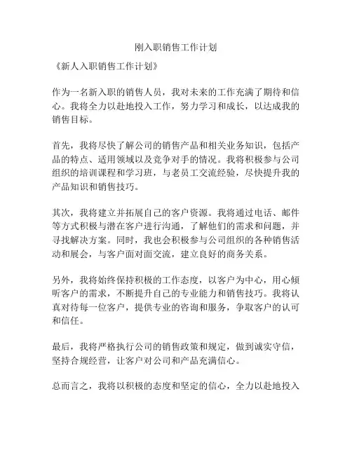 刚入职销售工作计划