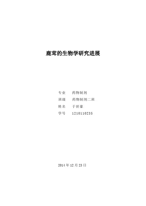 鹿茸的调研