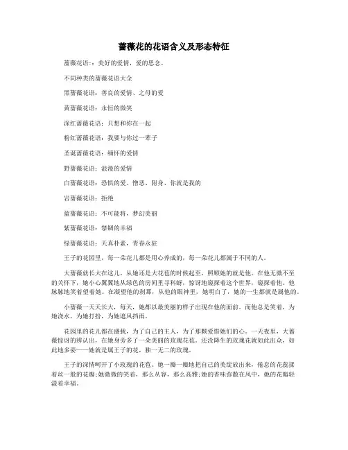 蔷薇花的花语含义及形态特征