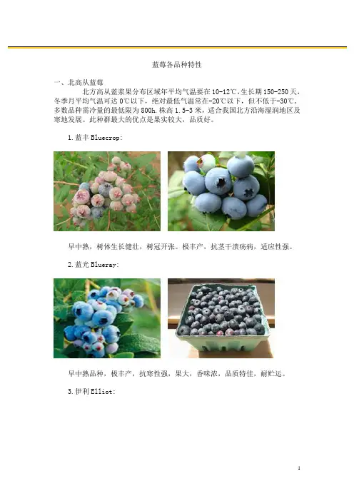 蓝莓各品种特性