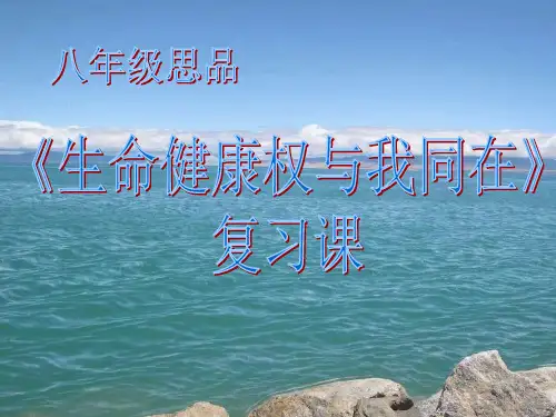 人教版思想品德八年级下册第三课复习复习