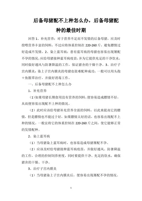 后备母猪配不上种怎么办,后备母猪配种的最佳时期