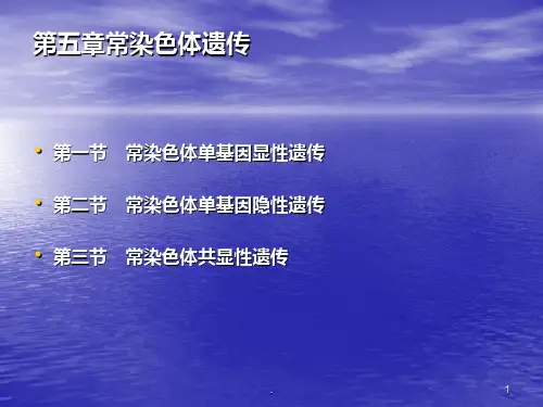 第五章常染色体遗传ppt课件