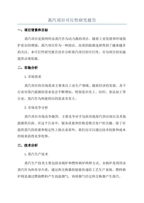 蒸汽项目可行性研究报告