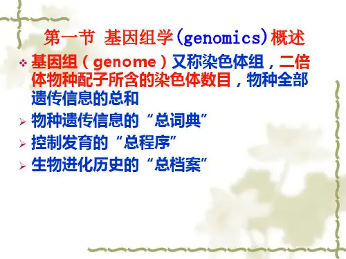 动物基因组学基础课件