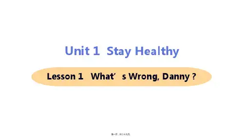 新冀教版九年级全一册英语Lesson 1 what's wrong, Danny课件