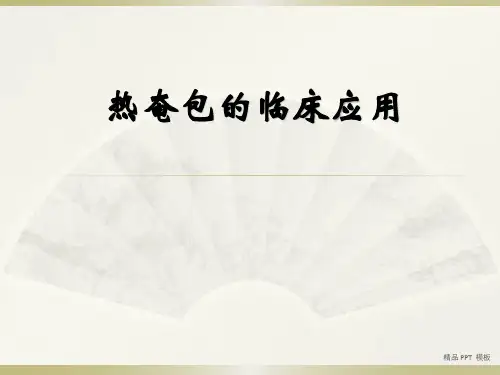 热奄包(精品课件)
