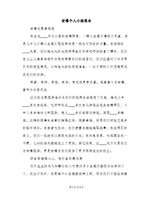 世博个人小结范本（2篇）