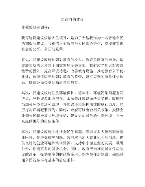 给政府的建议