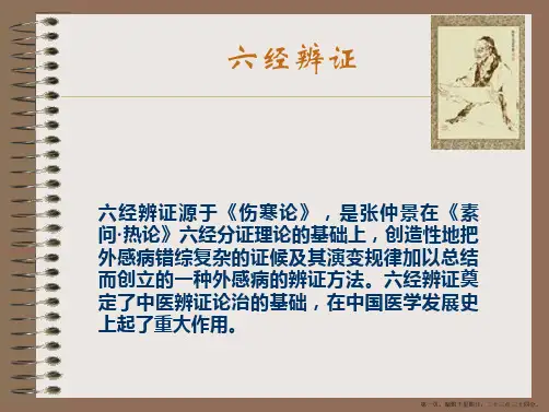 12六经等辨证