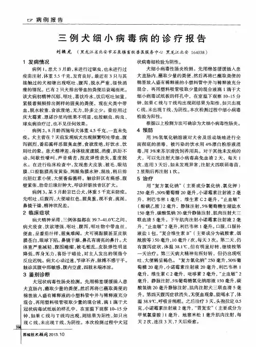 三例犬细小病毒病的诊疗报告