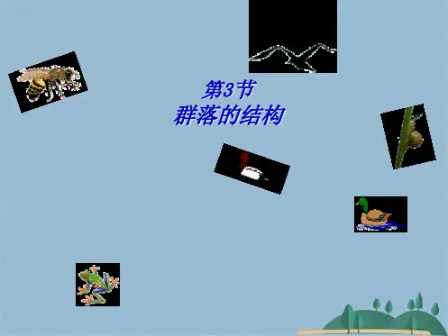 【人教版】高中生物必修三《 群落的结构》课件(共45张PPT)