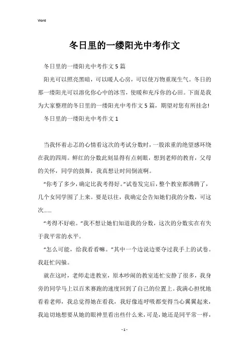 冬日里的一缕阳光中考作文