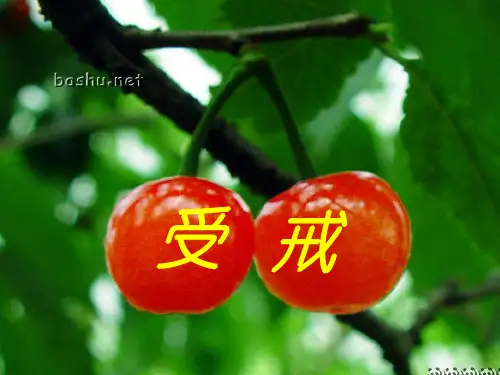 【高中语文】受戒ppt精品课件