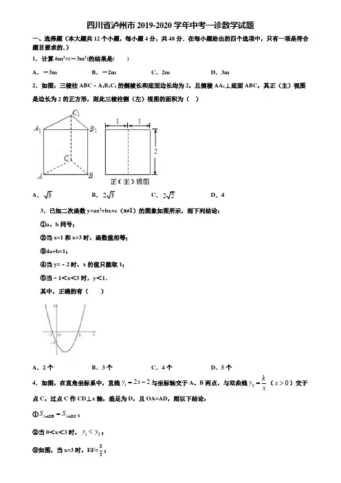 四川省泸州市2019-2020学年中考一诊数学试题含解析